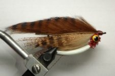 Brown Baitfish.jpg