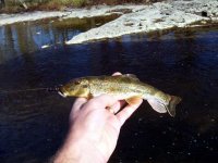 101_1896_e.jpg