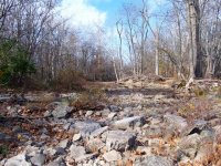 101_1903_e.jpg
