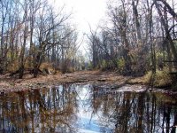 101_1907_e.jpg