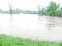 april 2011 flood 006.JPG