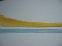 IMG_3851.JPG