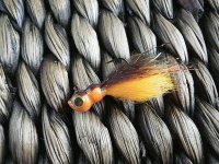 orangeminnow1.JPG