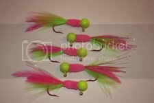 IMG_5650.jpg IMG_5650.jpg