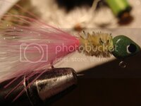 DSC03825.jpg