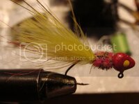 DSC03822.jpg