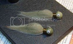 gobies004.jpg gobies004.jpg