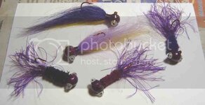 purples006.jpg purples006.jpg