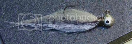 spotbass002.jpg