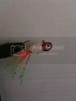IMG_1366.jpg