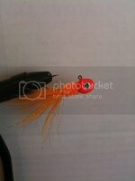 IMG_1365.jpg