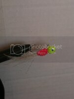 IMG_1367.jpg