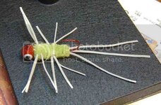 uglybug004.jpg uglybug004.jpg