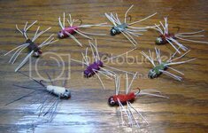 18ugbug005.jpg