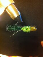 6cb5fbe5.jpg