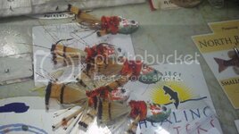 558305602_photobucket_45030_.jpg
