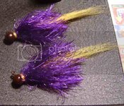 purpleyellow006.jpg