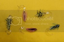 feather.jpg feather.jpg