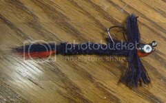 redraider014.jpg