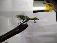 100_2288.jpg