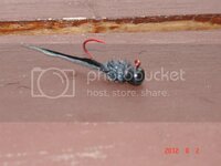 DSC09642.jpg
