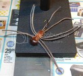 canyoncraw001.jpg canyoncraw001.jpg