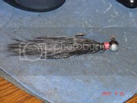 DSC09884.jpg