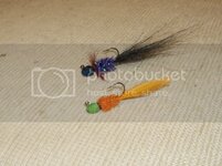 DSCF08252_zps2cea4de1.jpg