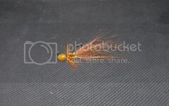 DSCF08412.jpg