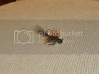 DSCF08432.jpg