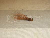 DSCF08572.jpg