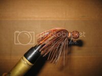 IMG_0369.jpg