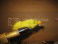 IMG_0371.jpg