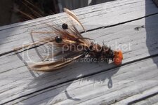 Colorado2012105.jpg