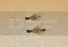 DSCF09852.jpg