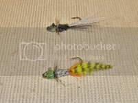 DSCF10012.jpg