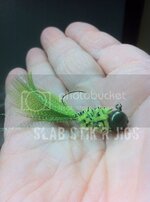 D7C-45D2-9EEF-FFD7FA2C8370-7647-00001038A278C2E1-1.jpg