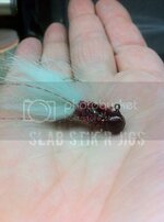 F60-4027-9B49-729DAEDF9CF8-7647-00001038B11FAC99-1.jpg