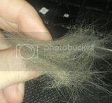 2013-04-10043959.jpg
