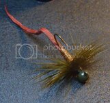 redribbonhackle004_zpsbd280b9d.jpg redribbonhackle004_zpsbd280b9d.jpg