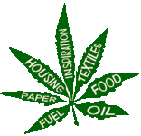 hemp_miracle_plant.gif