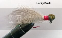 LuckyDuck.jpg