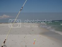 P1010001-1.jpg P1010001-1.jpg