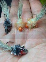 C5DCB173-5D36-417F-9DC9-D7D19D920A3D_zps2e26efaz.jpg