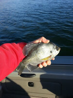 20141102_071625.jpg