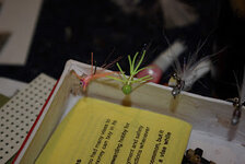 MQUfXG8gKIx4GpWTqwfCSJUxVgAIwIjrZtI=w309-h207-p-no.jpg