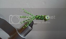 greenbug1_zpszd3jzrpr.jpg greenbug1_zpszd3jzrpr.jpg