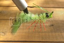 Chartreuse%20Shrimp_1.jpg