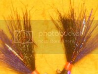 P1010347_zps1giyssd7.jpg