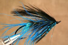 bluespey7.jpg